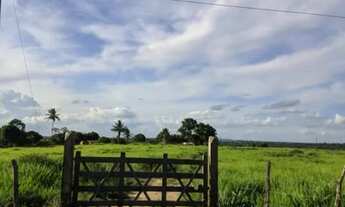 Imagem 6: FAZENDA EM CORAÇÃO DE MARIA - 100 TAREFAS
