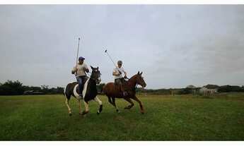 Imagem 5: Fazenda em São José