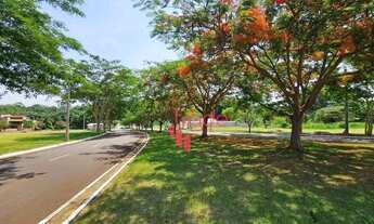 Imagem 6: Terreno à Venda em Condomínio Fechado no Bairro Residencial Terra de Santa Marta em Ribeir