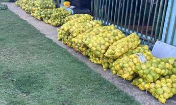 Imagem 3: Chácara de 1 alqueire mais 2 casas e 350 metros de rio no fundo