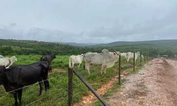 Imagem 4: Fazenda 404 hectares Próximo a Salinas/MG