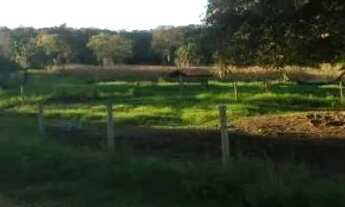 Imagem 5: Chácara 4.34 alq. em Americano do Brasil 1.700.000