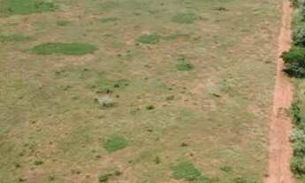 Imagem 4: Excelente sítio pra fazer loteamento de chácara