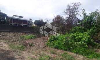 Imagem 6: Terreno no bairro São João do Rio Vermelho em Florianópolis/SC