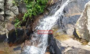 Imagem 2: Fazenda 56,6 alqueires ( 274 hectares) Jussara - GO