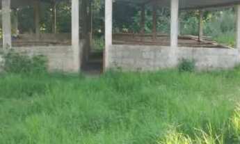 Imagem 2: Chácara 4.34 alq. em Americano do Brasil 1.700.000