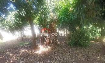 Imagem 7: Chácara em Rua Antônio Pereira de Almeida - Morada Nova - Uberlândia/MG