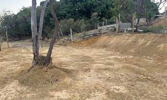 Imagem 3: Vendo lote 200 m no Palmital