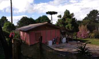 Imagem 5: Chácara em Estrada da Roseira - Roseira de São Sebastião - São José dos Pinhais/PR