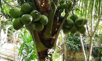 Imagem: Vendo essa casa