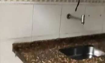 Imagem 6: Apartamento para locação no bairro Rochedo, composto por