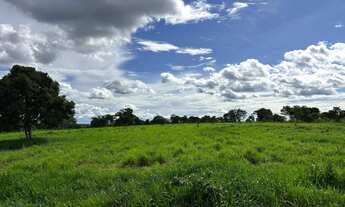 Imagem 5: Fazenda de 180 hectares dupla aptidão negócio de oportunidade