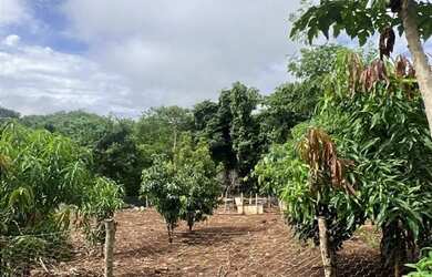 Imagem 5: Chácara Chácara com venda por R$100.000