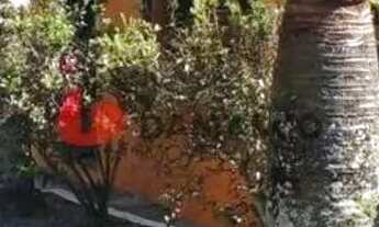 Imagem 7: Chácara à venda, Parque São Paulo, Embu-Guaçu, SP