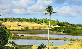 Imagem: Imóvel para venda com 107000 metros quadrados