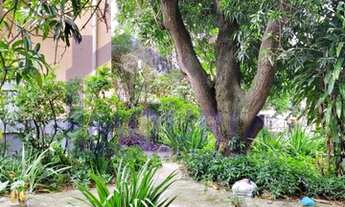 Imagem 7: Terreno para venda com 1600 metros quadrados em Bonsucesso