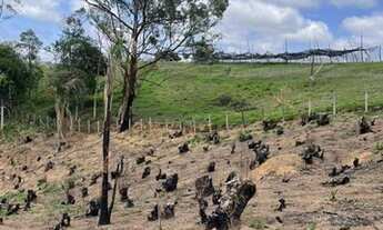 Imagem 2: Lote/Terreno para venda em Francisco Morato