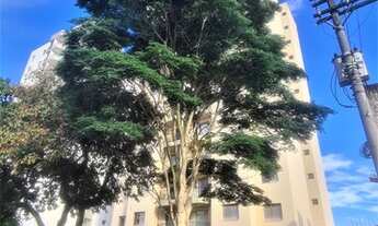 Imagem: Apartamento para aluguel com 65 metros quadrados