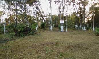 Imagem 4: Vendo excelente terreno com benfeitorias, medindo mais de 600m²!!.favor ler o anuncio