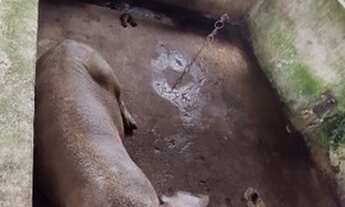 Imagem 6: 150 hectares fazendinha pronta documentada por R$ 2.7 milhões