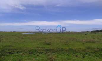 Imagem 7: Fazenda em Est. da Caieira - Mostardas