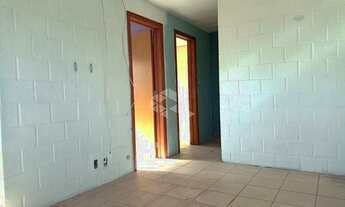 Imagem 2: ESTEIO - Apartamento Padrão - São José