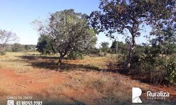 Imagem 3: Fazenda com alto potencial agrícola em Almas - TO
