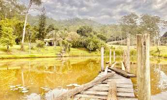 Imagem 6: Fazenda para venda com 96 alqueire porteira fechada com 138 bois
