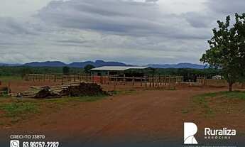 Imagem 2: Fazenda com alto potencial agrícola em Almas - TO