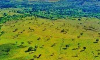 Imagem: Fazenda com 58 alqueires em Niquelândia