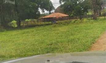 Imagem: Fazenda em frutal 98 alqueirão 34.300.000.00