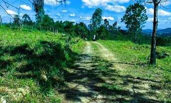 Imagem 2: Lote/Terreno para venda tem 1000 metros quadrados em Centro - Vargem - SP