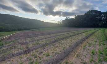 Imagem 3: LOTE/TERRENO PRÓXIMO DE COMÉRCIO