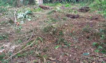 Imagem 4: TERRENO EM MOSQUEIRO