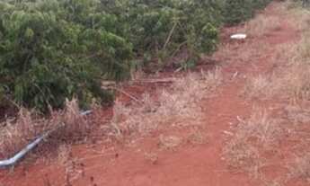 Imagem: Propriedade em São Mateus