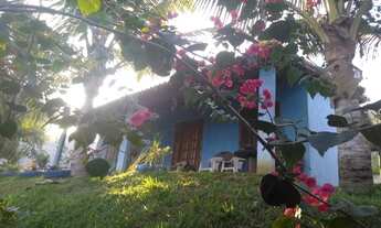 Imagem: PINHEIRAL - Chácara - km 2