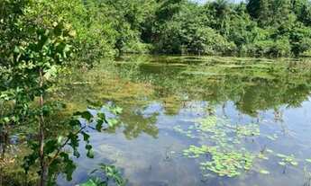 Imagem 5: Fazenda em Almas-TO. 80 alqueires