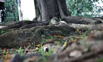 Imagem 5: Casa à venda em condomínio fechado no Residencial Alphaville 2 - Santana de Parnaíba /SP