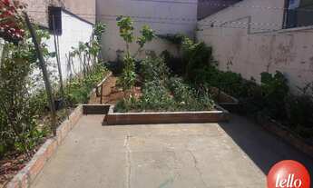 Imagem 5: São Paulo - Casa Padrão - Tatuapé