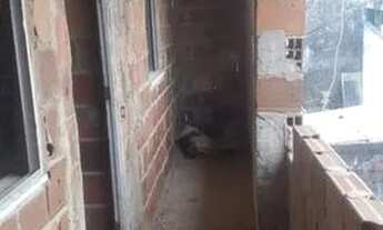 Imagem 2: Compre sua casa Casa com 3 dormitórios