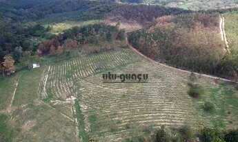 Imagem 4: Sítio à venda, 847000 m² por R$ 6.500.000,00 - Pinheirinho - Itu/SP