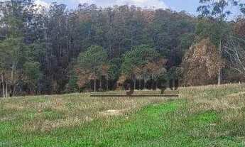 Imagem 3: Sítio à venda, 847000 m² por R$ 6.500.000,00 - Pinheirinho - Itu/SP