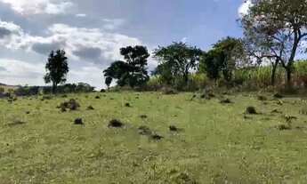 Imagem 6: Venda - Sítio em Alambari-SP