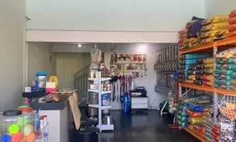 Imagem 3: Oportunidade!!! Pet Shop Completo ( Loja e banho e tosa