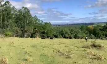 Imagem 4: Venda - Sítio em Alambari-SP
