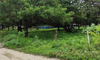 Imagem 6: Terreno para sítio de esquina, duas frentes 46 km Fortaleza
