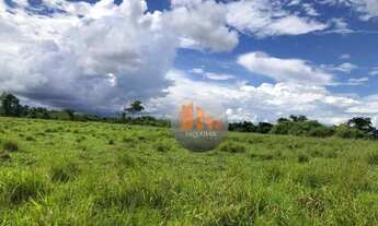 Imagem 3: Fazenda com 2 dormitórios à venda, 2613600 m² por R$ 16.200.000,00 - Zona Rural - Indiara