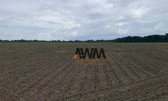 Imagem 4: Fazenda à venda, 7018000 m² por R$ 30.000.000,00 - Centro - Divinópolis do Tocantins/TO