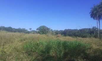 Imagem: Vendo fazenda em palmeiras do Tocantins