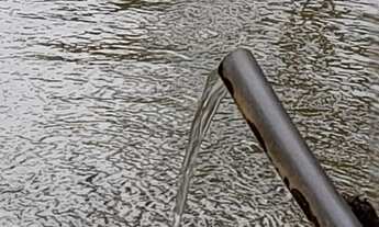 Imagem 2: Sitio para venda em Tijucas